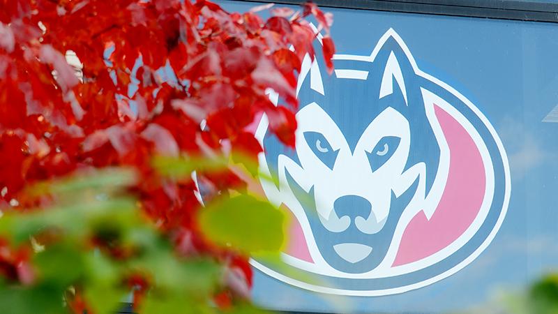 Husky decal on building