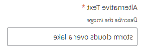 Alt文本字段示例